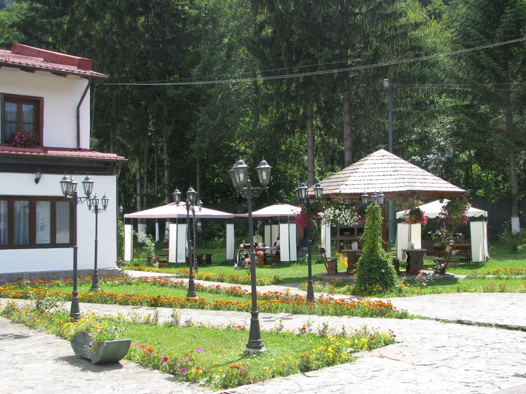 Pensiunea Rhein Азуга Экстерьер фото