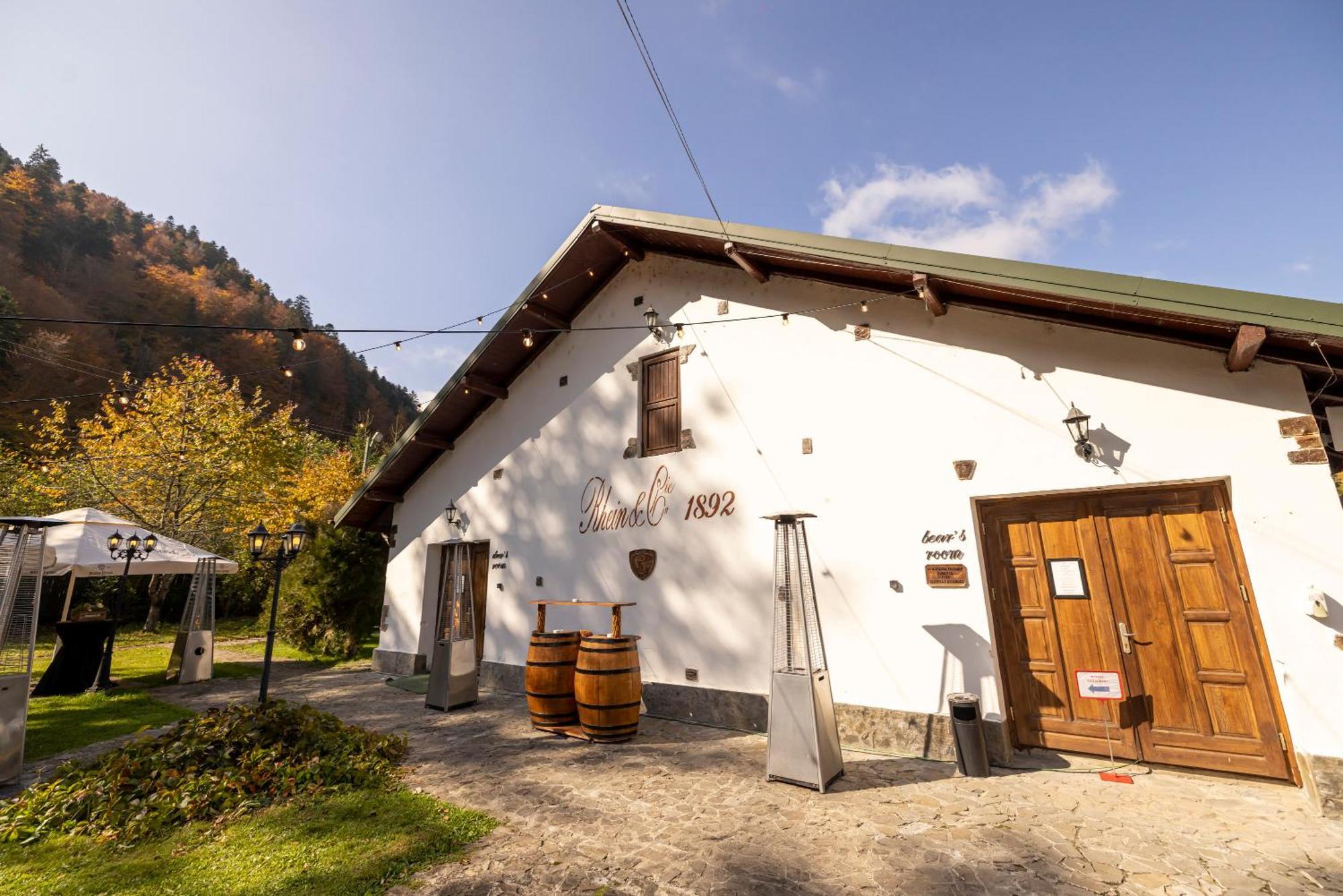 Pensiunea Rhein Азуга Экстерьер фото
