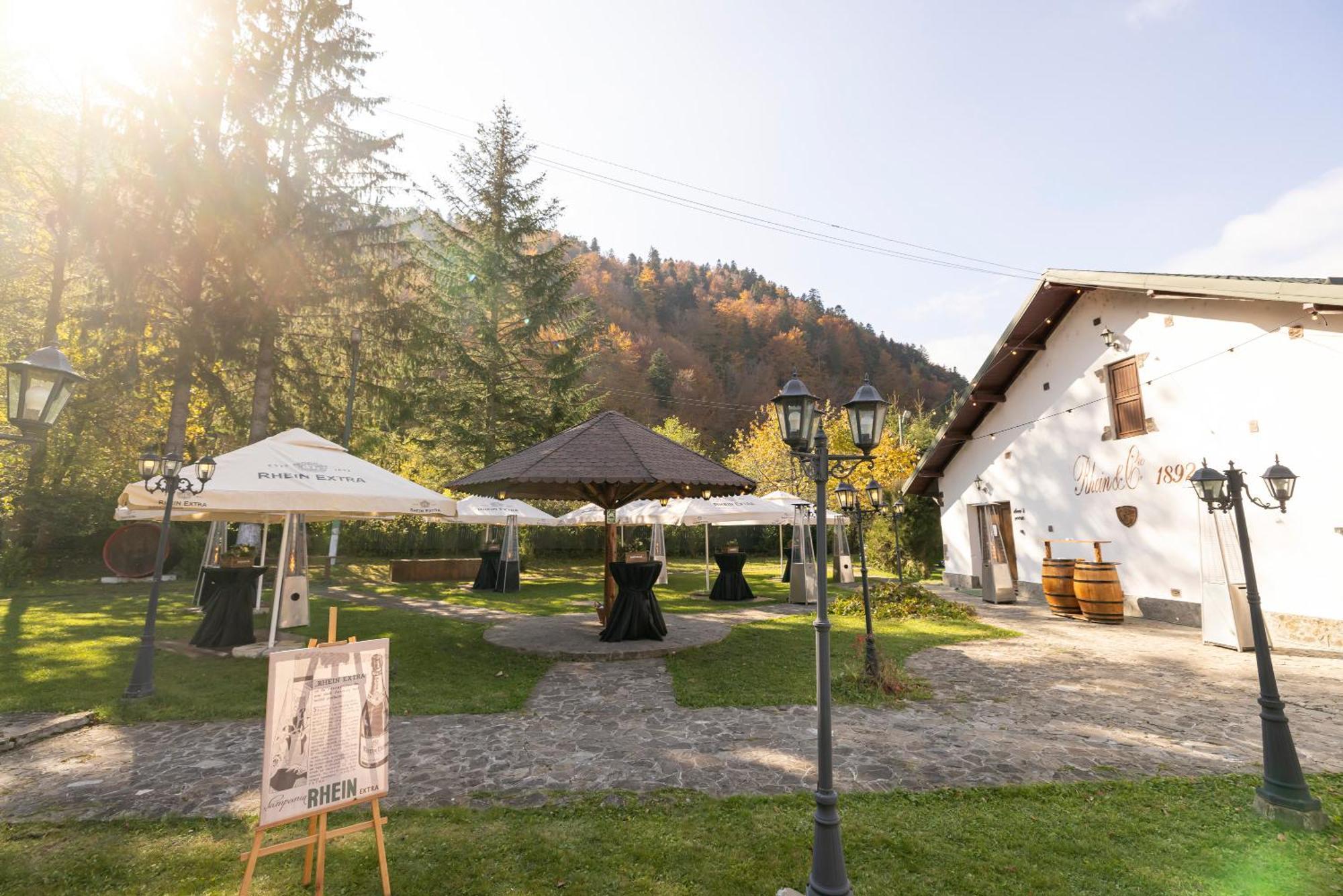 Pensiunea Rhein Азуга Экстерьер фото