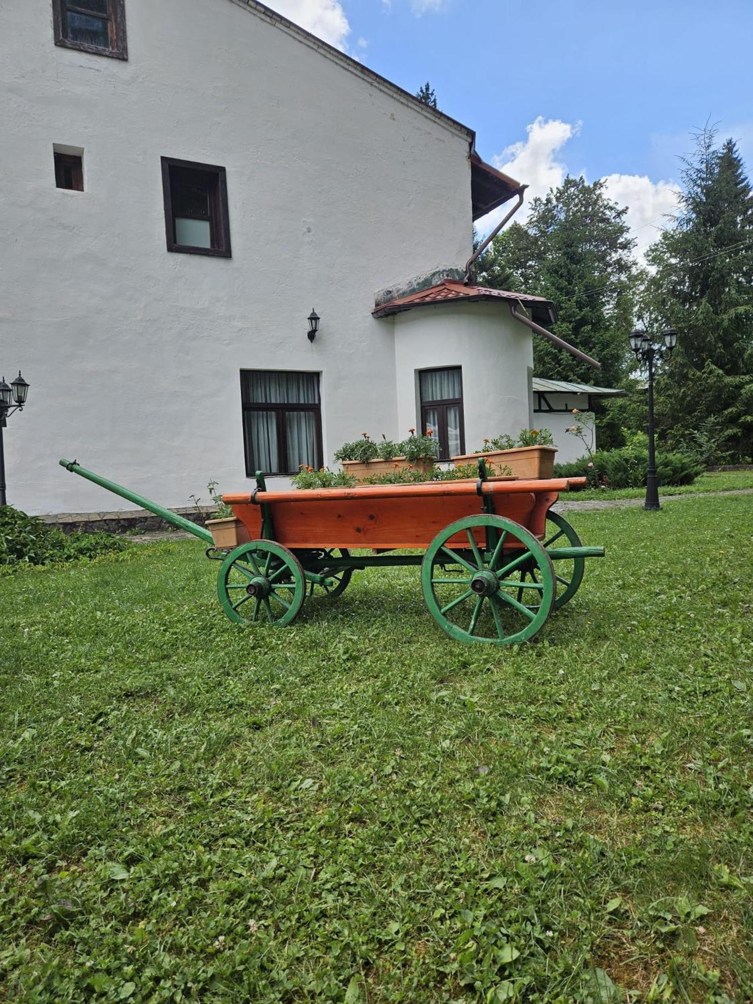 Pensiunea Rhein Азуга Экстерьер фото